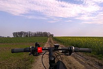 ŚCIEŻKI CIĄG DALSZY