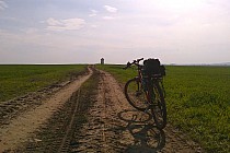 ŚCIEŻKA WIODĄCA NA POKUSZENIE