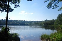 Jezioro Czarne (gmina Potęgowo)