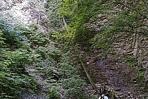 Skała Machunika zwana też Kanionem w Rybotyczach