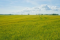 taki chciałbym mieć widok z tarasu