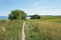 zbliżamy się do stromego podjazdu nie do podjechania, jest prawie pionowy