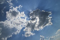 trochę cienia w upale