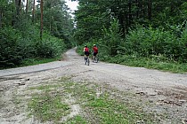 Tak, tak, to jest droga powiatowa