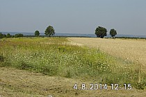 Wzniesienia Urzędowskie