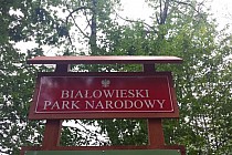 Białowieski Park Narodowy