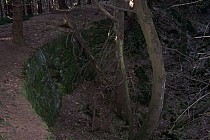 Ruiny Fortu Wilhelma