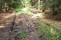 Międzynarodowy Szlak 121 - tak to się nazywa. :)