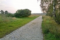 Równiutka kostka na byłych polach irygacyjnych