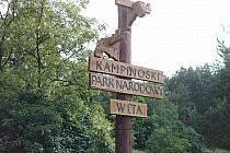 W Famułkach Brochowskich zobaczycie tego łosia. Kilkanaście metrów za nim skrecamy w las.