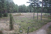 Rezerwat "Kręgi Kamienne" w Odrach