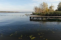 Przystanie nad Narwią.