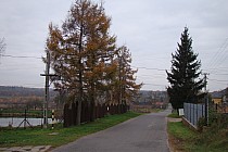 Rezerwat Struga Dobieszkowska