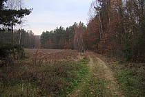 Rezerwat Struga Dobieszkowska