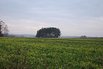 Rezerwat Struga Dobieszkowska