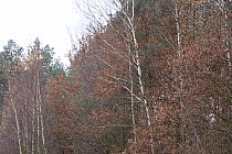 Rezerwat Struga Dobieszkowska