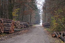 Rezerwat Struga Dobieszkowska