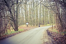 Droga Samotwór - Gałów