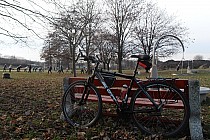 Ul. Paradna / Stawy Jana