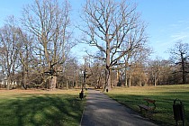 Skok w bok -  Al. marsz. Józefa Piłsudskiego/Park Źródliska