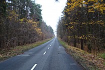 Ul. Okólna - Park Krajobrazowy Wzniasienia Łódzkie