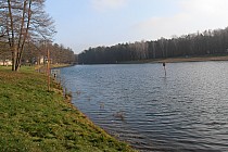 Skok w bok - Las Łagiewnicki Arturówek