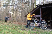 Skok w bok - Las Łagiewnicki