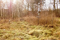 Kłyżów - cmentarz z  I wojny światowej