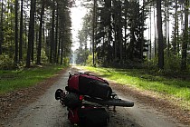 Przez Puszczę Knyszyńską.