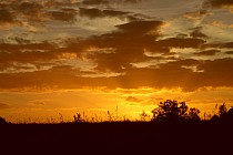 Podlaski zachód słońca