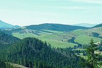 pagórki  gór Chockich