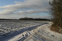 Droga przez pola w okolicach Kotunia.