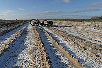 Przez pola do młyna