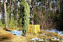 Tak wygląda obecnie t.j 7.02.2015r.