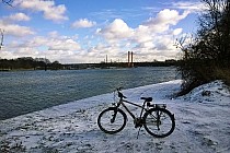 rower na tle Mostu Milenijnego