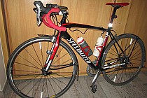 błotniczki na szosie