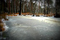 Nowe tereny podmokłe.