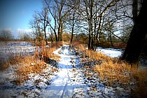 Singltrack nad Wisłą.