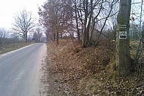 Wzniesienia Łódzkie