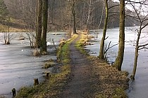 wąski przesmyk pomiędzy stawami