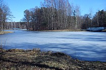 Jeszcze zamarznięte stawy w okolicy Tarnowskich Gór