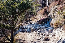 Fragment trudniejszej ścieżki