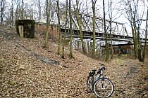 Most na Odrze w Kotowicach - od strony lasu