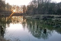 ujście Widawy o zachodzie słońca