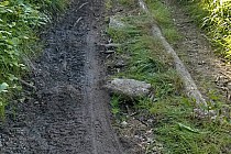 BIKE Adventure 2014r. 1 i 3 dzień ostatnie 2 km "autostradą do nieba"