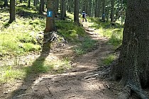 BIKE Adventure 2014r.