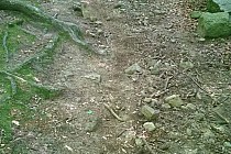 BIKE Adventure 2014r.