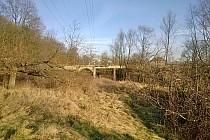 Tajemniczy most w Lesie Pilczyckim na tyłach komisariatu