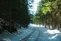 Droga na Polanę Chochołowską