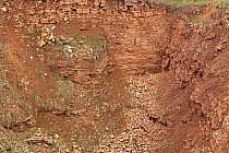 Kamieniołom Żyglin